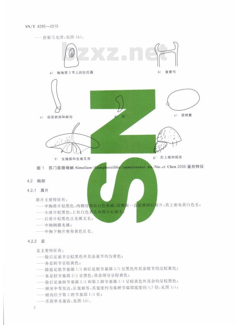 SN/T 4285-2015 苏门答腊绳蚋鉴定方法