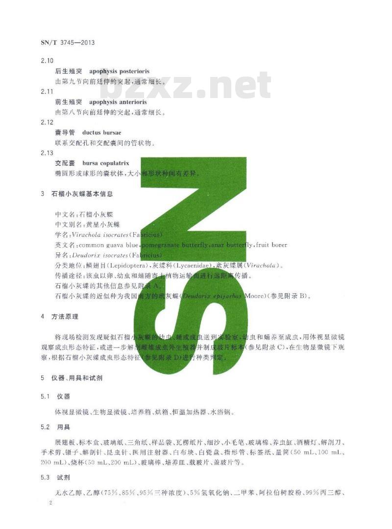 SN/T 3745-2013 石榴小灰蝶检疫鉴定方法