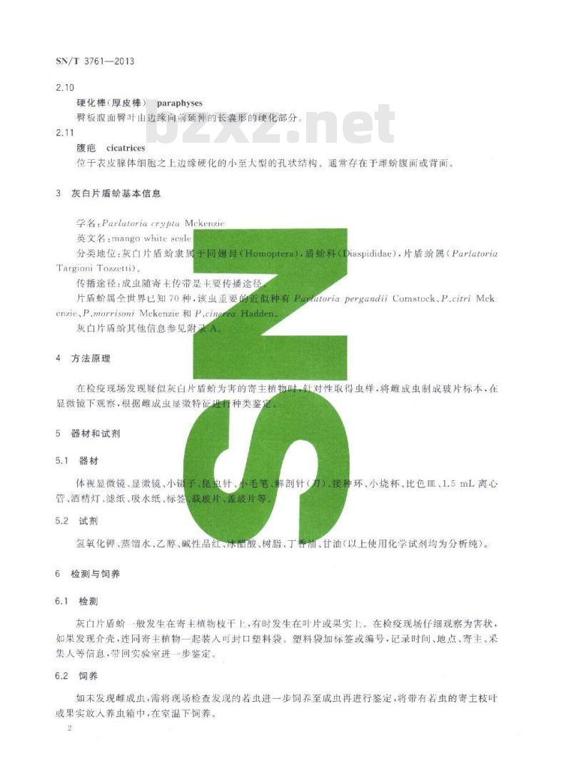 SN/T 3761-2013 灰白片盾蚧检疫鉴定方法