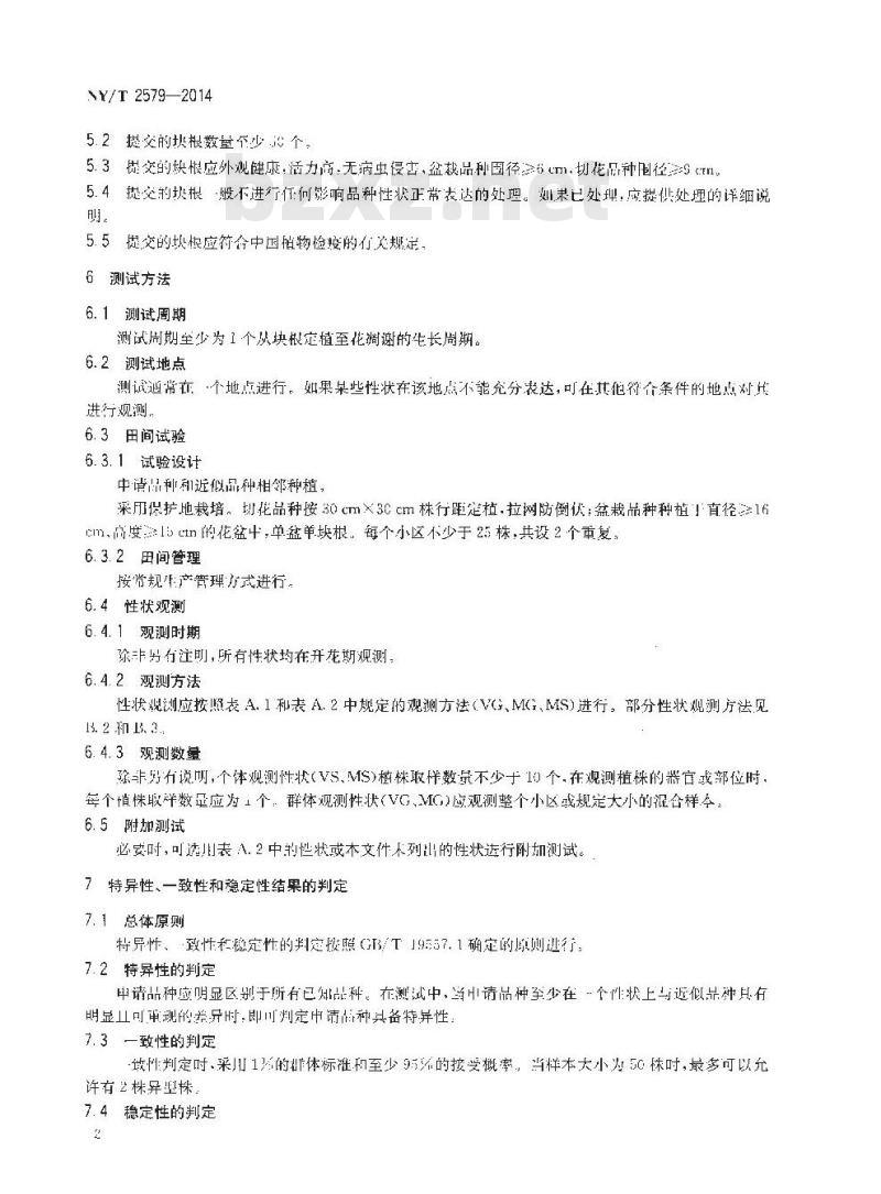 NY/T 2579-2014 植物新品种特异性、一致性和稳定性测试指南 花毛茛
