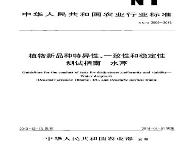 NY/T 2506-2013 植物新品种特异性、一致性和稳定性测试指南 水芹