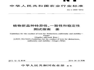 NY/T 2505-2013 植物新品种特异性、一致性和稳定性测试指南 姜