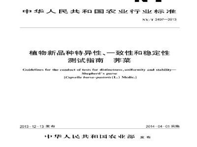 NY/T 2497-2013 植物新品种特异性、一致性和稳定性测试指南 荠菜