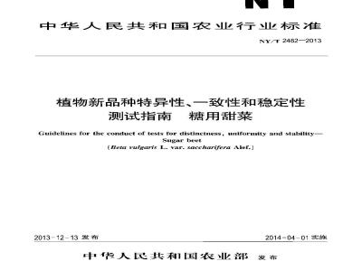 NY/T 2482-2013 植物新品种特异性、一致性和稳定性测试指南 糖用甜菜