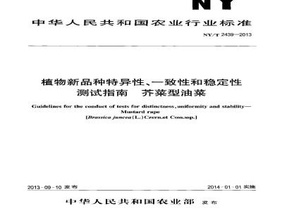 NY/T 2439-2013 植物新品种特异性、一致性和稳定性测试指南 芥菜型油菜