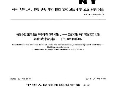 NY/T 2438-2013 植物新品种特异性、一致性和稳定性测试指南 白灵侧耳