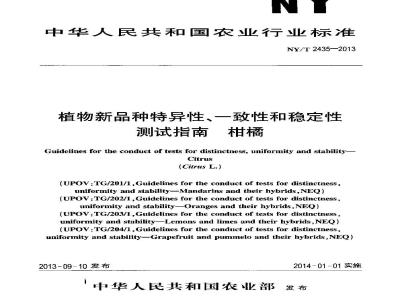NY/T 2435-2013 植物新品种特异性、一致性和稳定性测试指南 柑橘