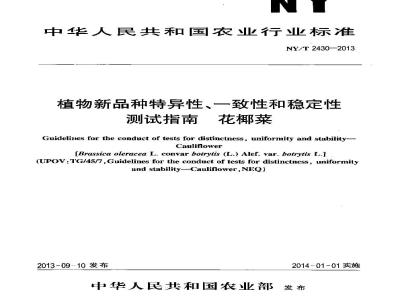 NY/T 2430-2013 植物新品种特异性、一致性和稳定性测试指南 花椰菜