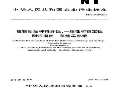 NY/T 2428-2013 植物新品种特异性、一致性和稳定性测试指南 草地早熟禾