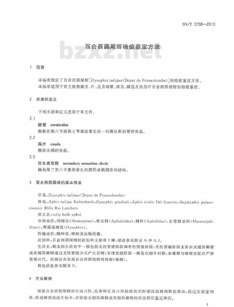 SN/T 3758-2013 百合西圆尾蚜检疫鉴定方法