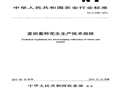 NY/T 2396-2013 麦田套种花生生产技术规程