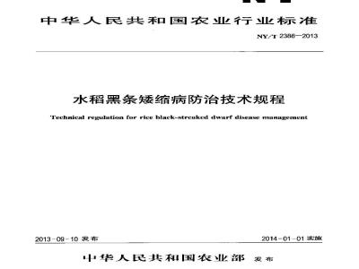 NY/T 2386-2013 水稻黑条矮缩病防治技术规程