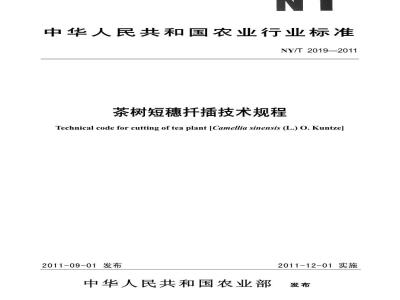 NY/T 2019-2011 茶树短穗扦插技术规程