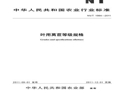 NY/T 1984-2011 叶用莴苣等级规格