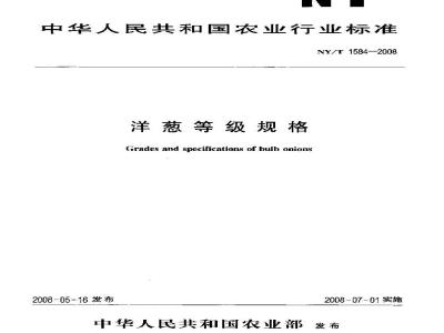 NY/T 1584-2008 洋葱等级规格