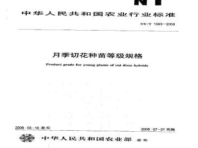 NY/T 1593-2008 月季切花种苗等级规格