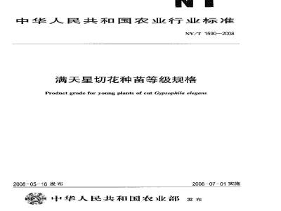 NY/T 1590-2008 满天星切花种苗等级规格