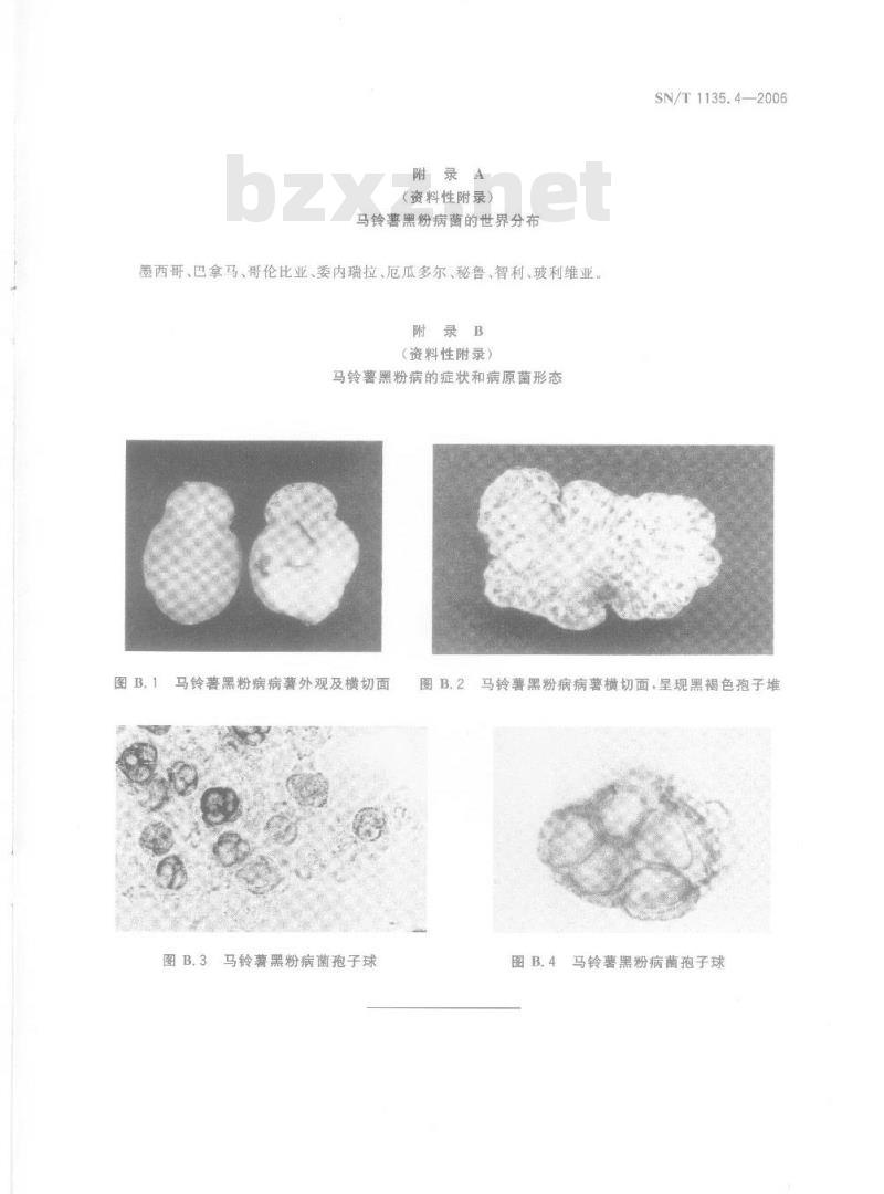 SN/T 1135.4-2006 马铃薯黑粉病菌检疫鉴定方法