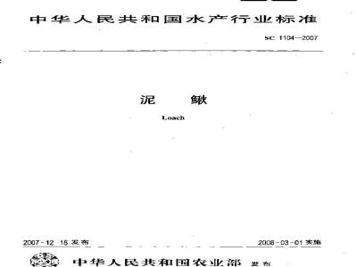 SC 1104-2007 泥鳅