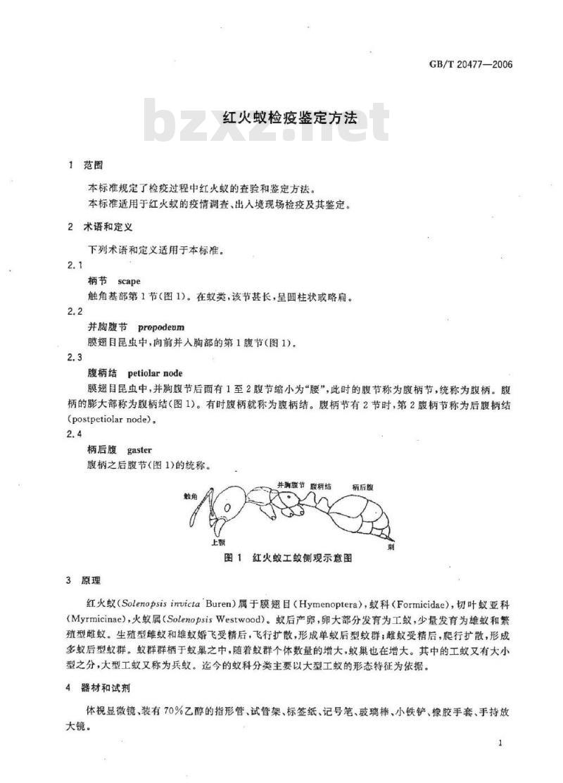 GB/T 20477-2006 红火蚁检疫鉴定方法