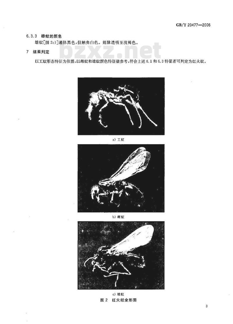 GB/T 20477-2006 红火蚁检疫鉴定方法