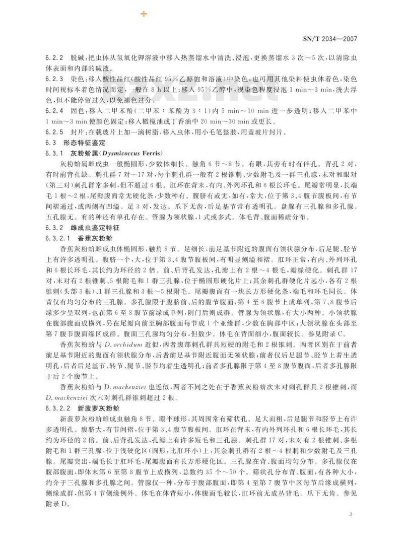 SN/T 2034-2007 香蕉灰粉蚧和新菠萝灰粉蚧检疫鉴定方法