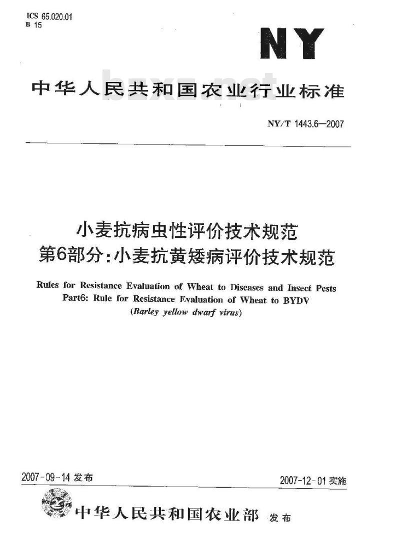 NY/T 1443.6-2007 小麦抗病虫性评价技术规范 第6部分:小麦抗黄矮病评价技术规范