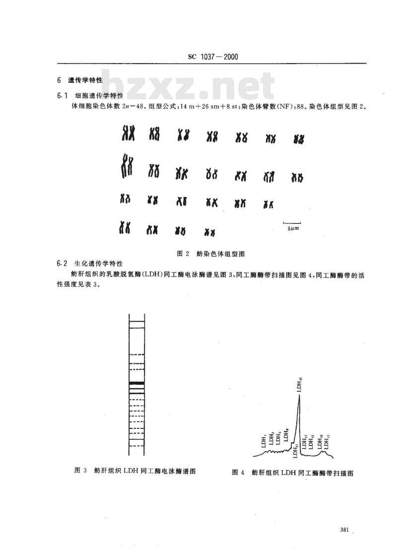 SC 1037-2000 鲂