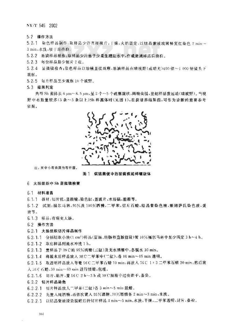 NY/T 545-2002 猪痢疾诊断技术