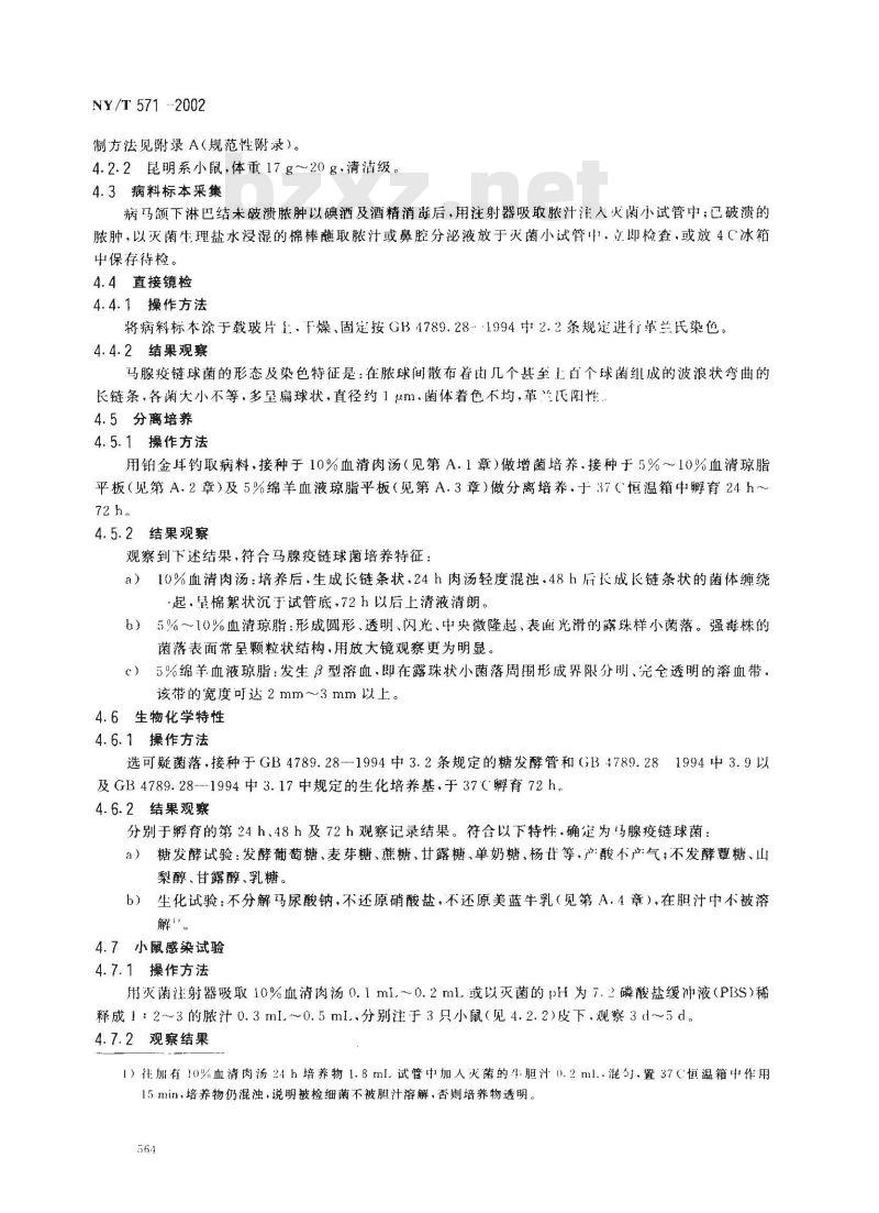 NY/T 571-2002 马腺疫诊断技术