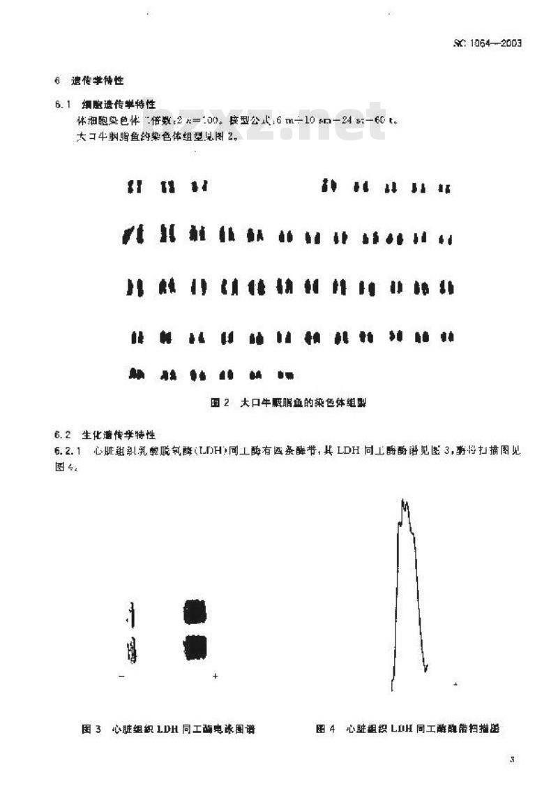 SC 1064-2003 大口牛胭脂鱼