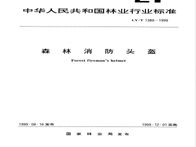 LY/T 1389-1999 森林消防头盔