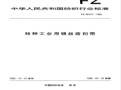 FZ/T 66315-1995特种工业用锦丝搭扣带 